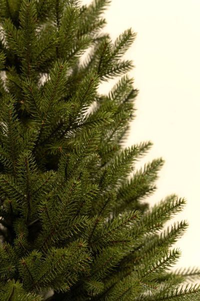 Grace Artificial Christmas Tree 1.5 m Cr6-150