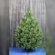 Lamelia Artificial Christmas Tree 1.5 m