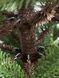 Nordia Artificial Christmas Tree 1.5 m Cr6custom-150