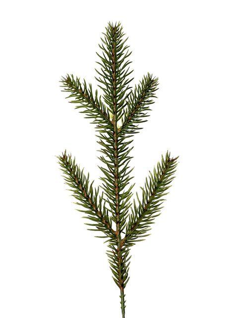 Гілочка №7 21,5 cm - Зелений BR-07 фото